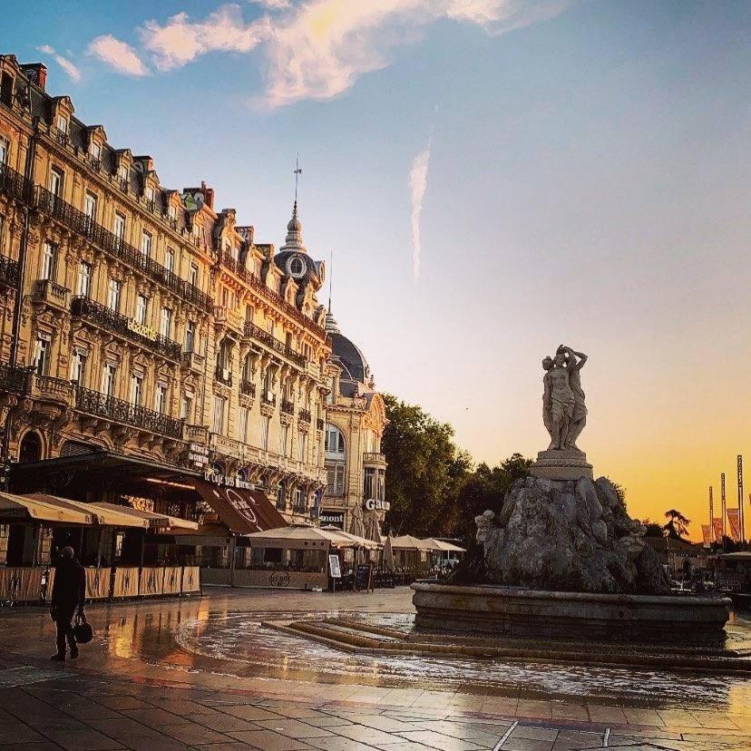 Le Cocon Montpellierain By Smartappart Montpellierain - Jardin Proche Corum Exterior photo